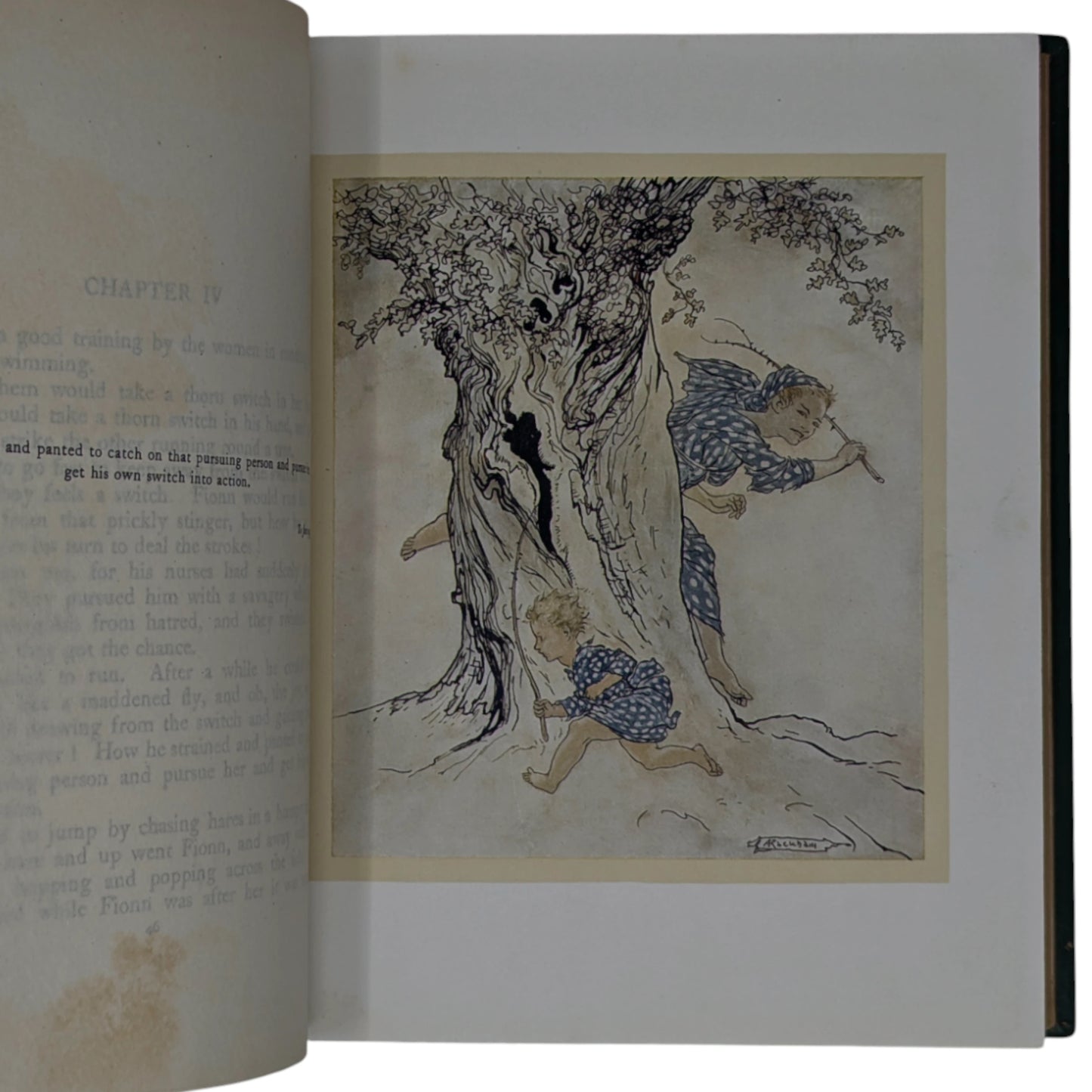 Irish Fairy Tales