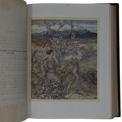 Irish Fairy Tales