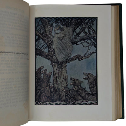 Irish Fairy Tales