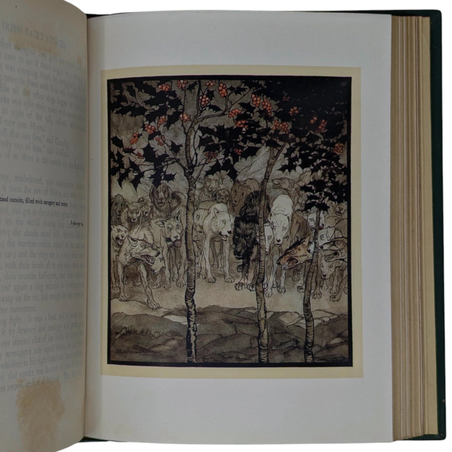Irish Fairy Tales