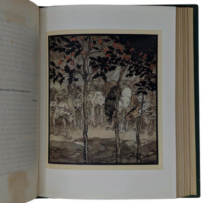 Irish Fairy Tales