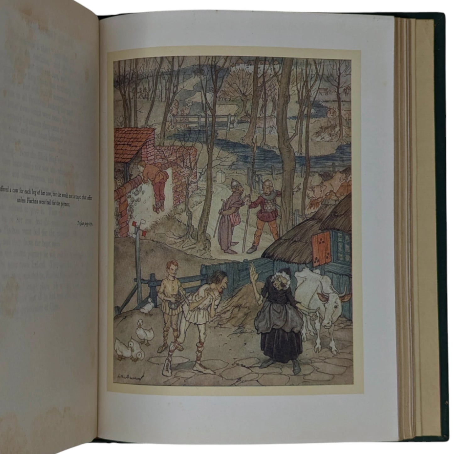 Irish Fairy Tales