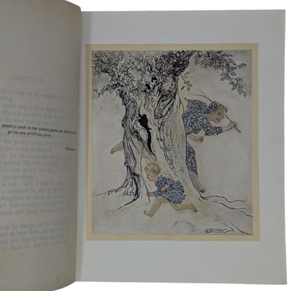 Irish Fairy Tales
