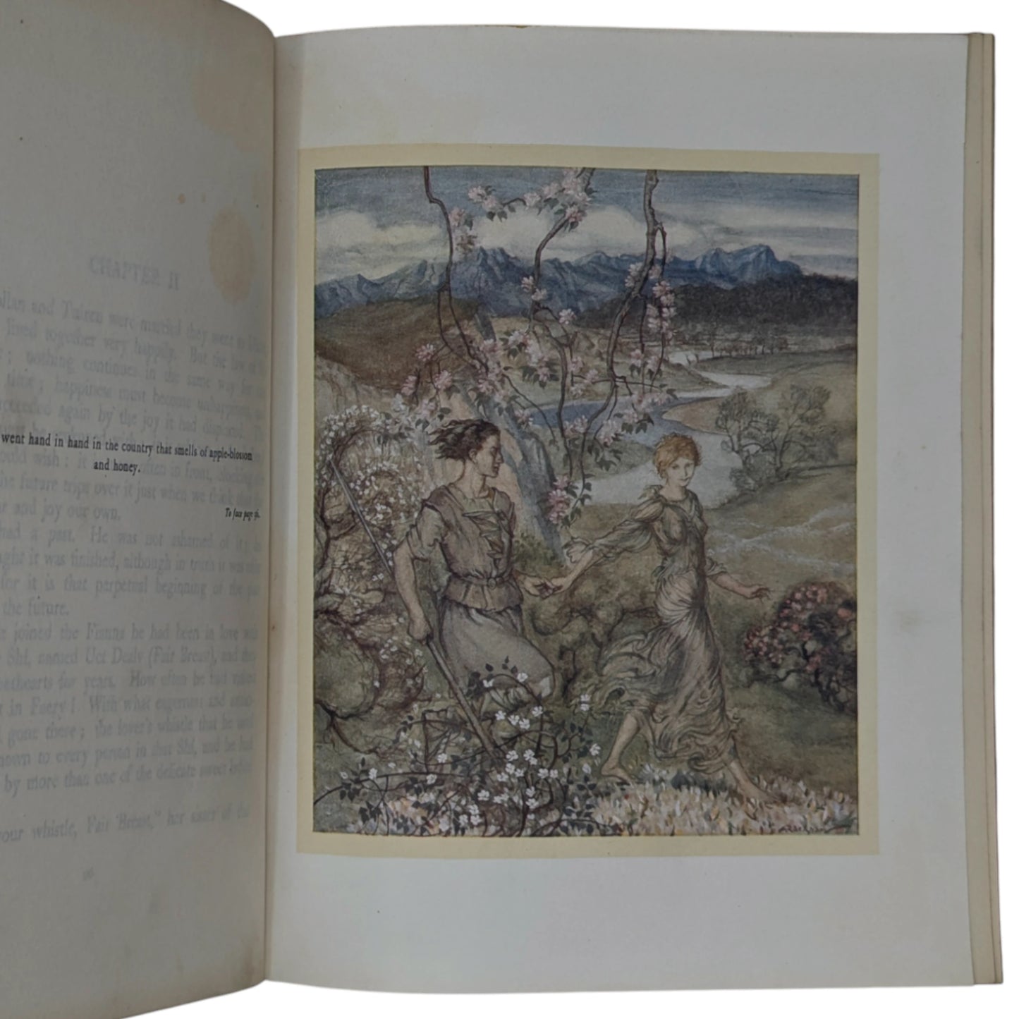 Irish Fairy Tales