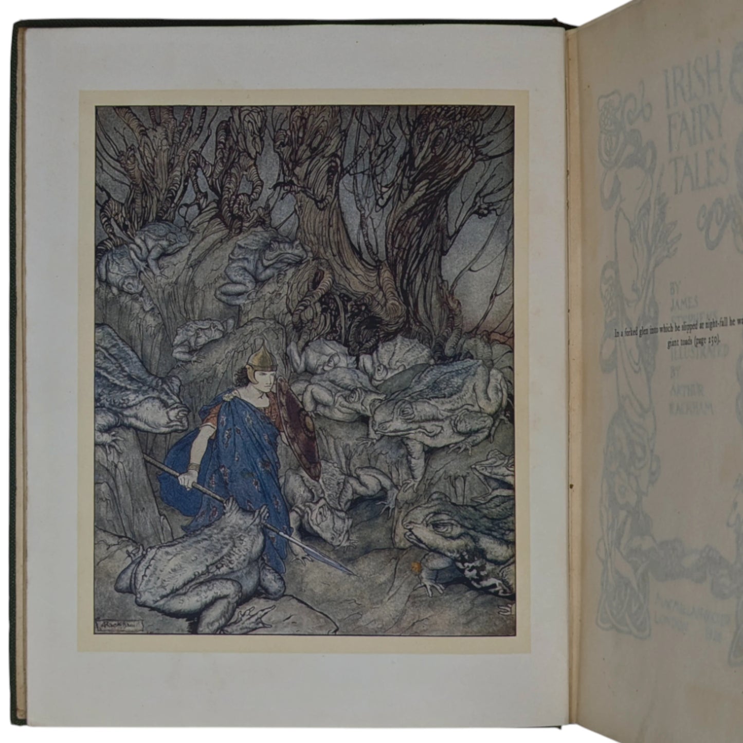 Irish Fairy Tales