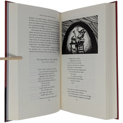 Irish Fairy and Folk Tales