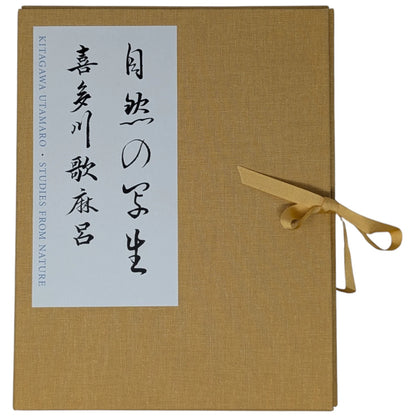 Kitagawa Utamaro's Studies from Nature