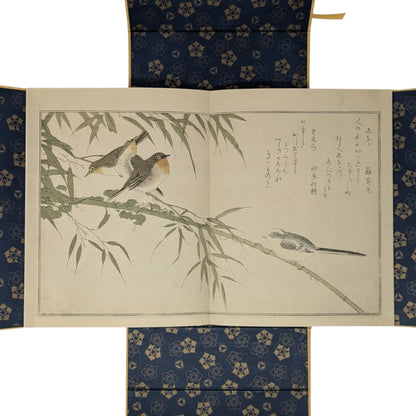 Kitagawa Utamaro's Studies from Nature