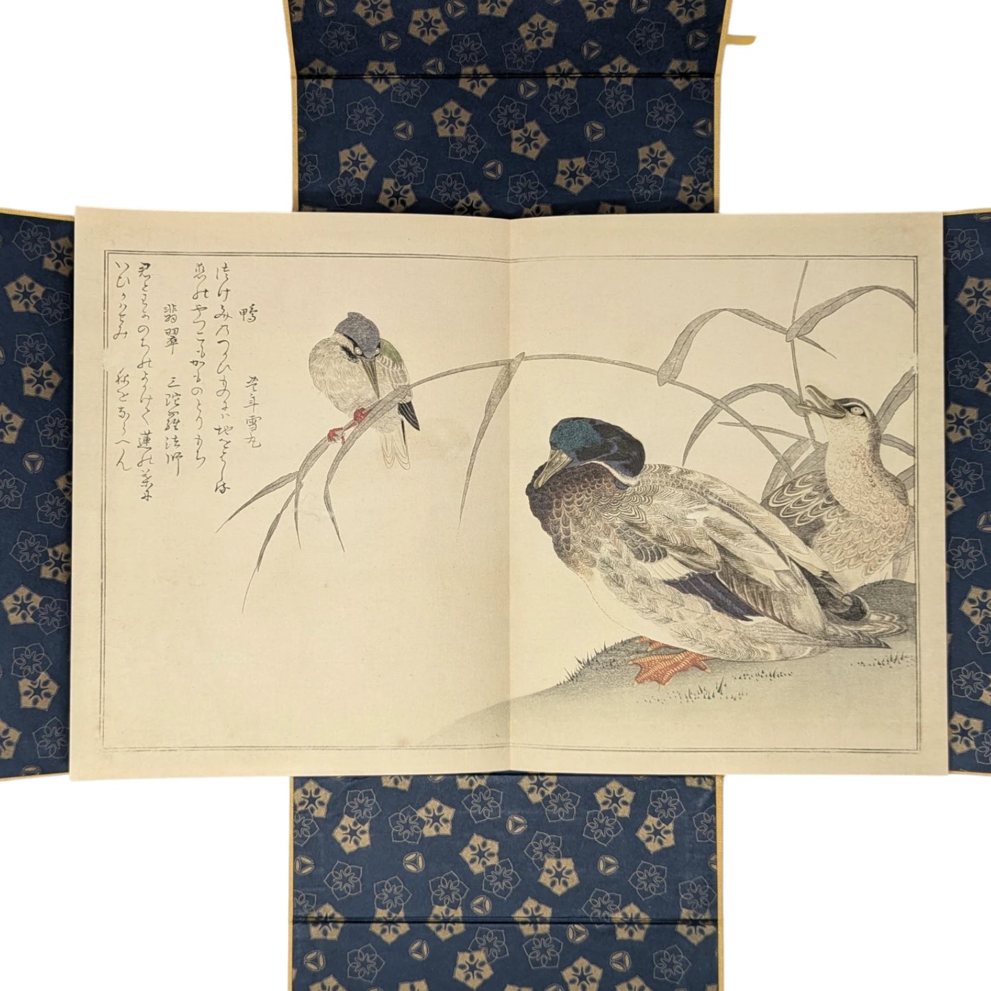Kitagawa Utamaro's Studies from Nature