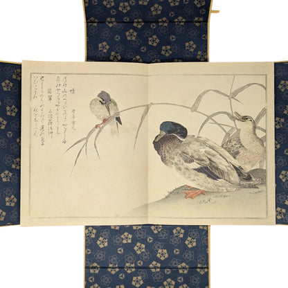 Kitagawa Utamaro's Studies from Nature
