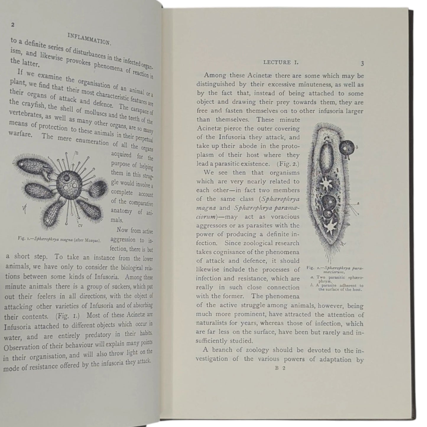 Lectures on the Comparative Pathology of Inflammation
