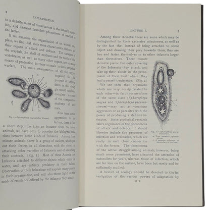 Lectures on the Comparative Pathology of Inflammation