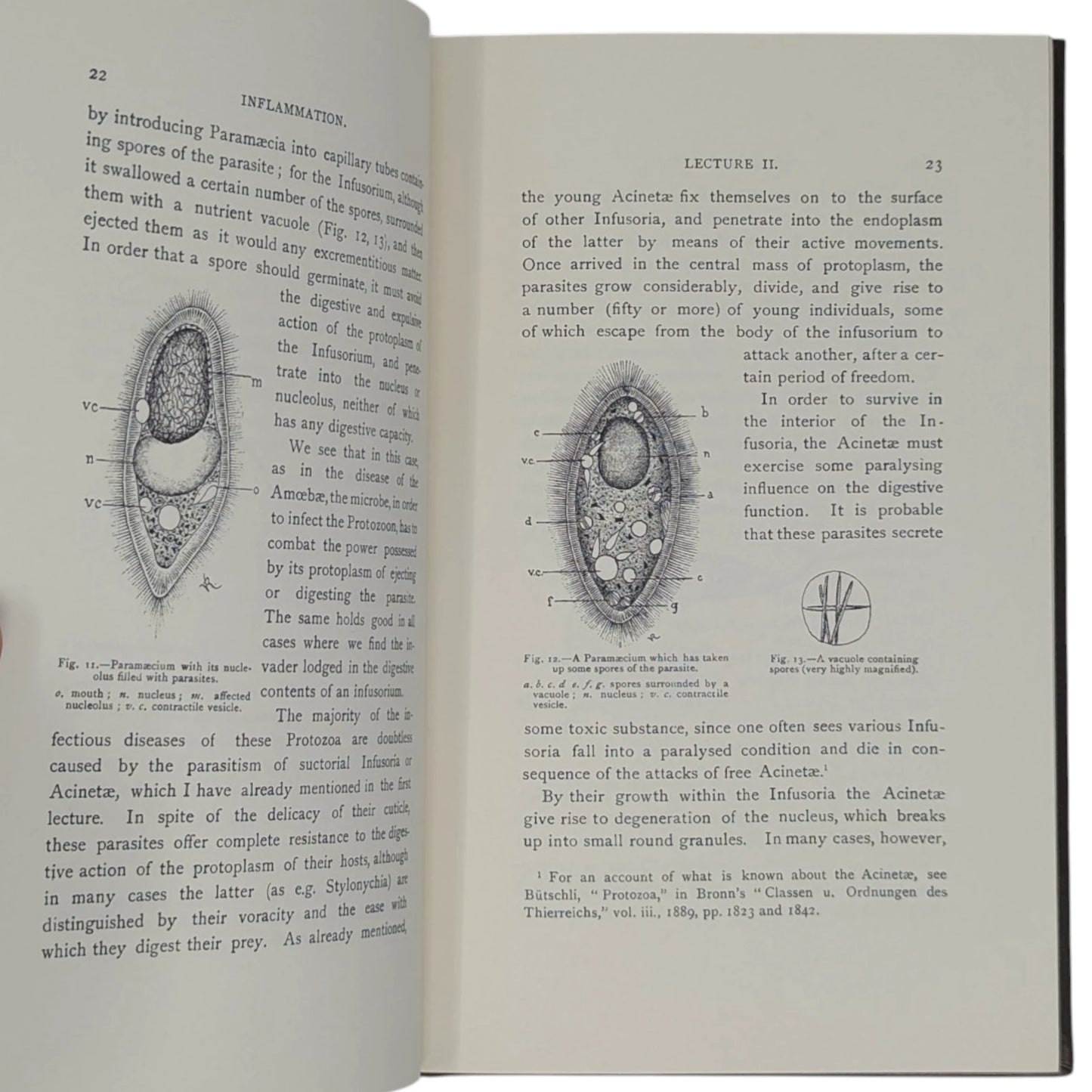 Lectures on the Comparative Pathology of Inflammation
