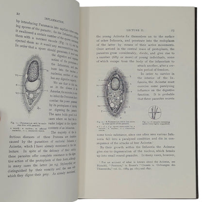 Lectures on the Comparative Pathology of Inflammation