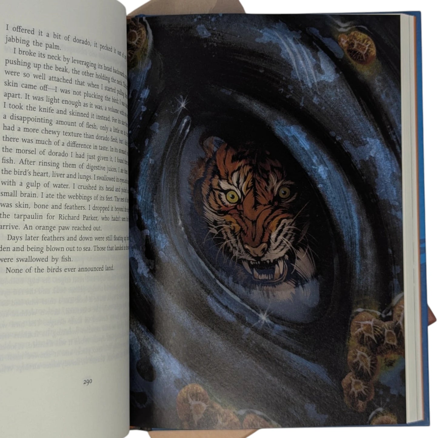 Life of Pi