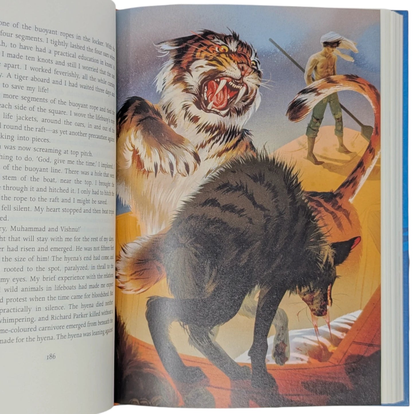 Life of Pi