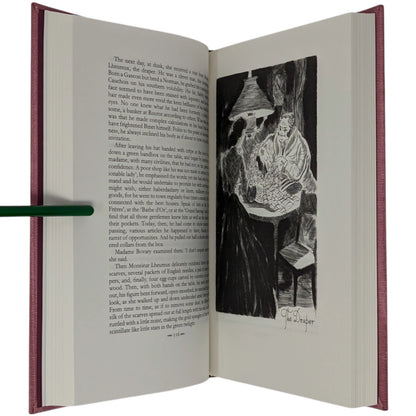 Madame Bovary