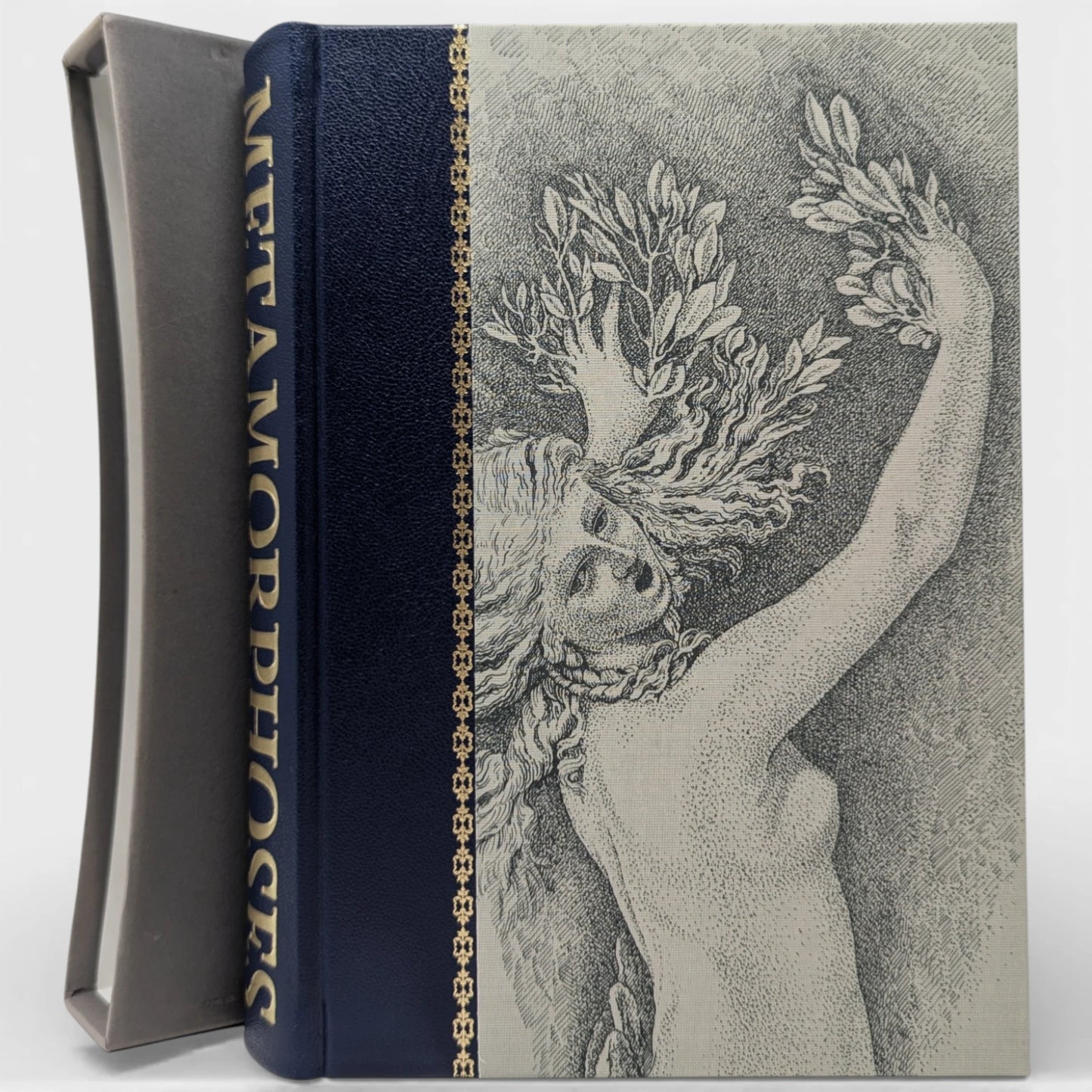 Metamorphoses