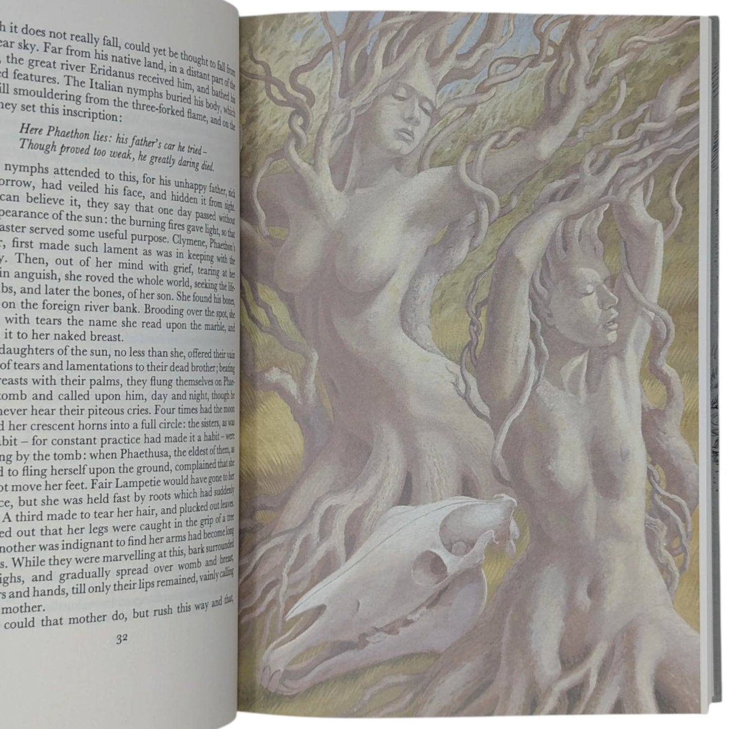 Metamorphoses
