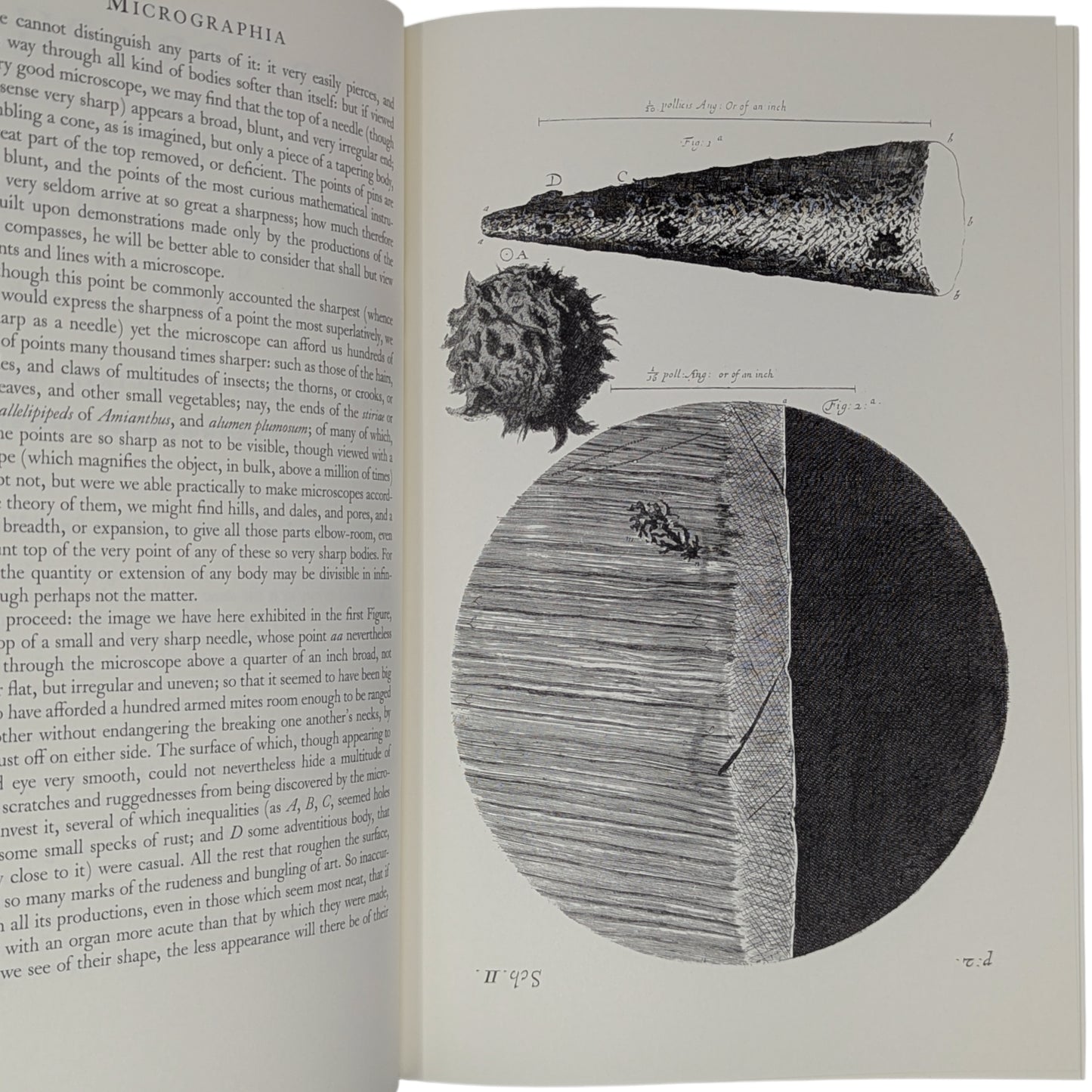 Micrographia (Limited Edition)