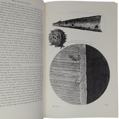 Micrographia (Limited Edition)