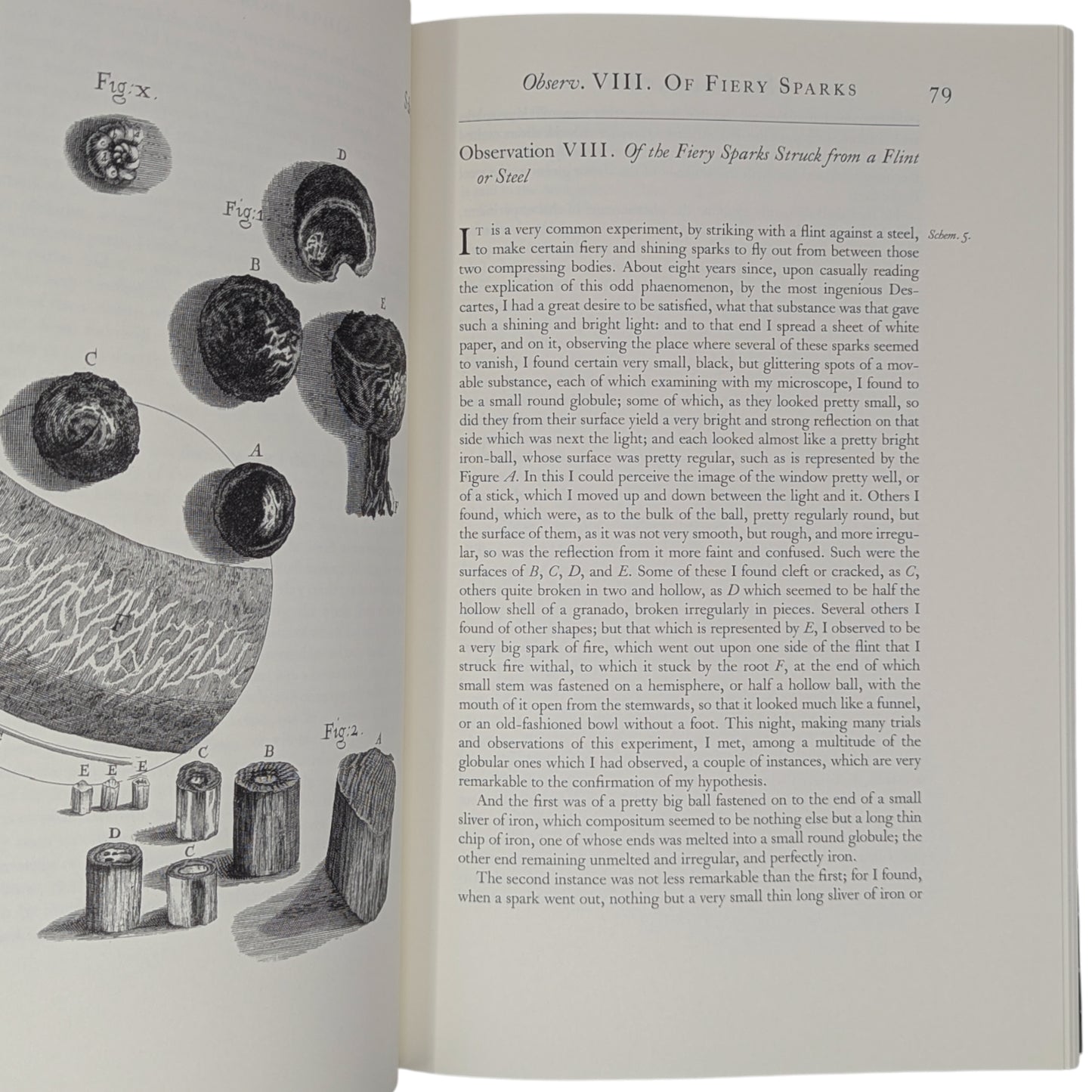 Micrographia (Limited Edition)