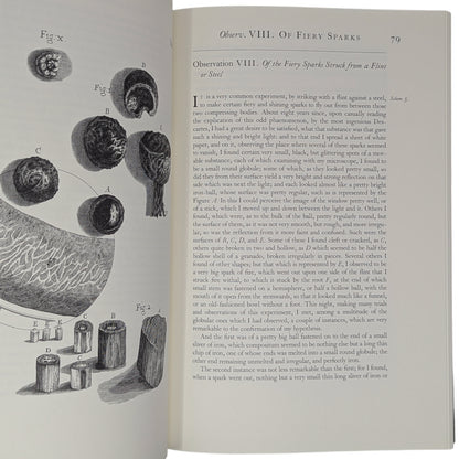 Micrographia (Limited Edition)