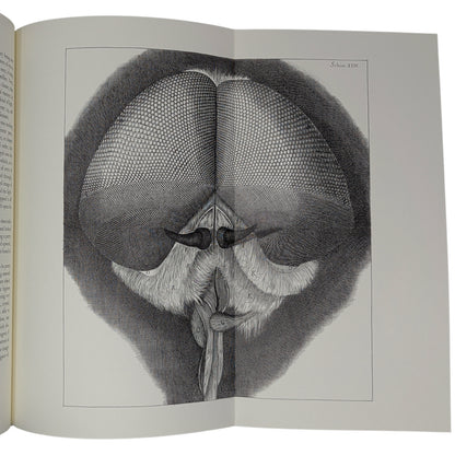 Micrographia (Limited Edition)