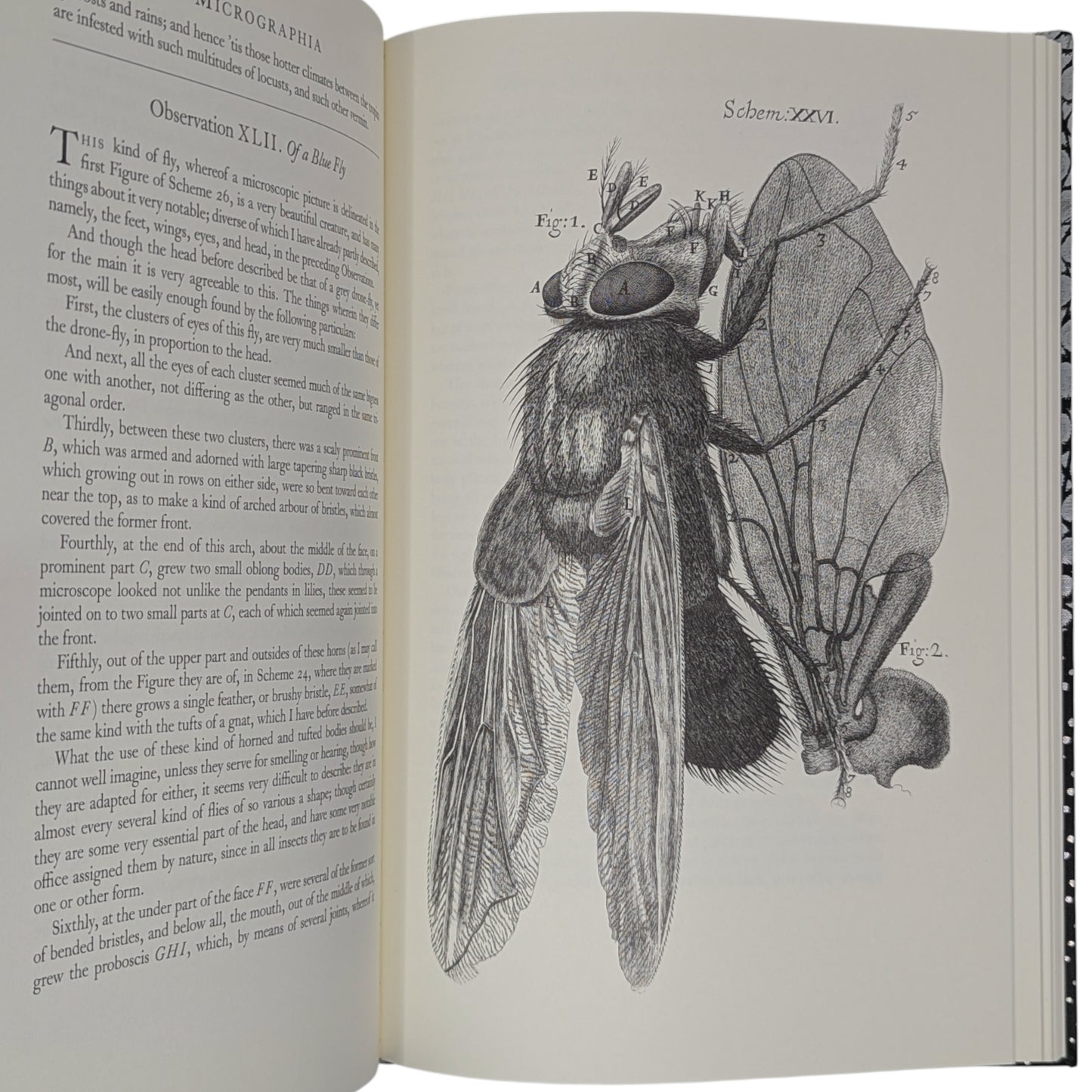 Micrographia (Limited Edition)