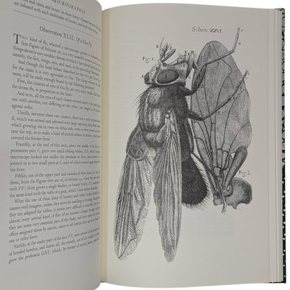 Micrographia (Limited Edition)