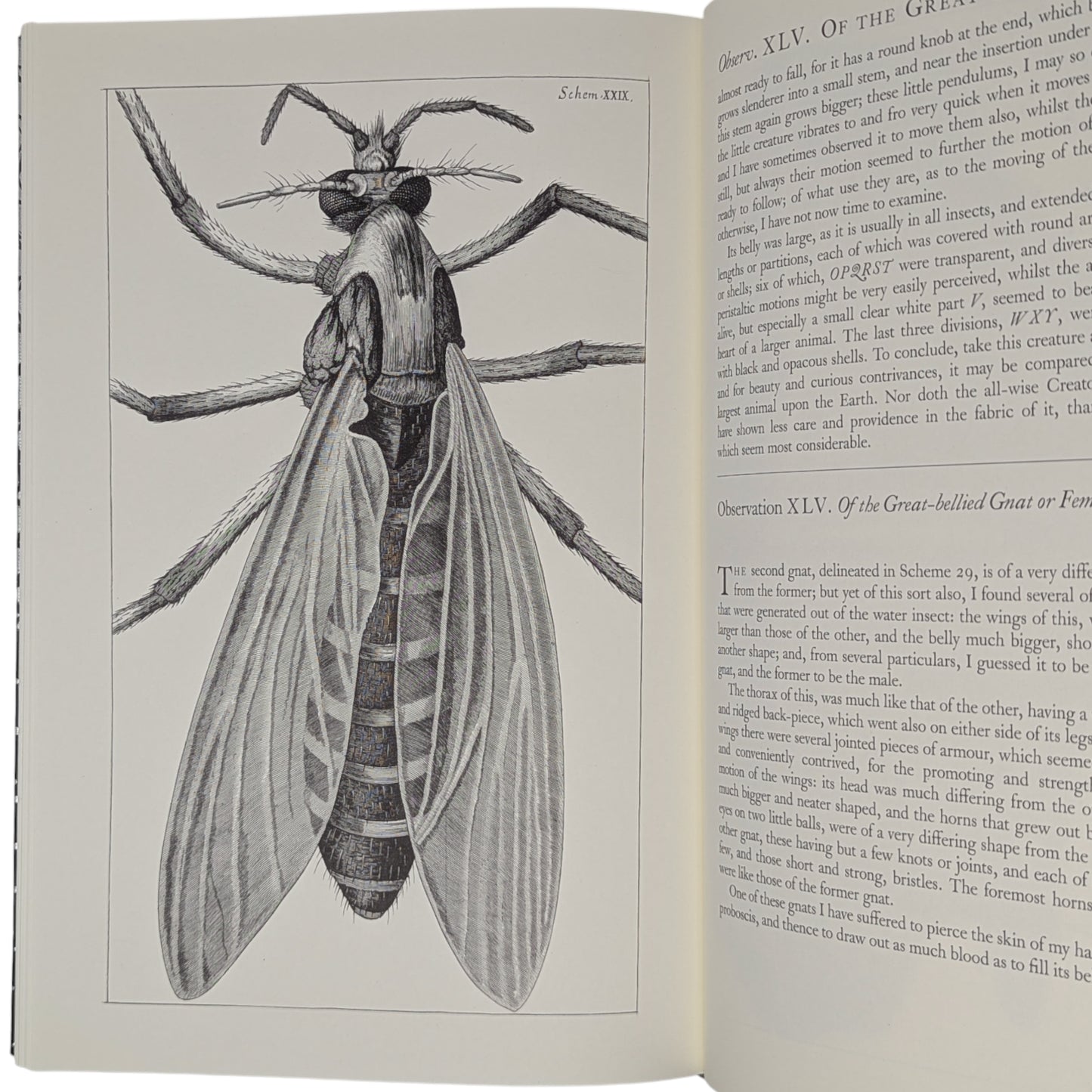 Micrographia (Limited Edition)