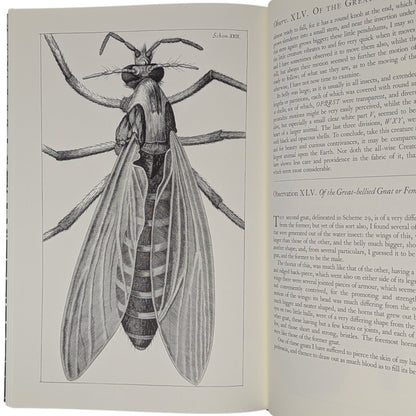 Micrographia (Limited Edition)