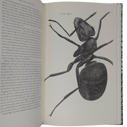 Micrographia (Limited Edition)