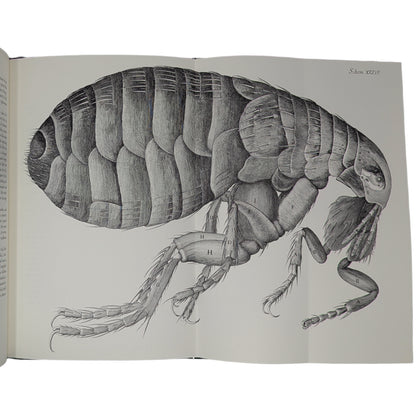 Micrographia (Limited Edition)