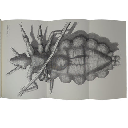 Micrographia (Limited Edition)
