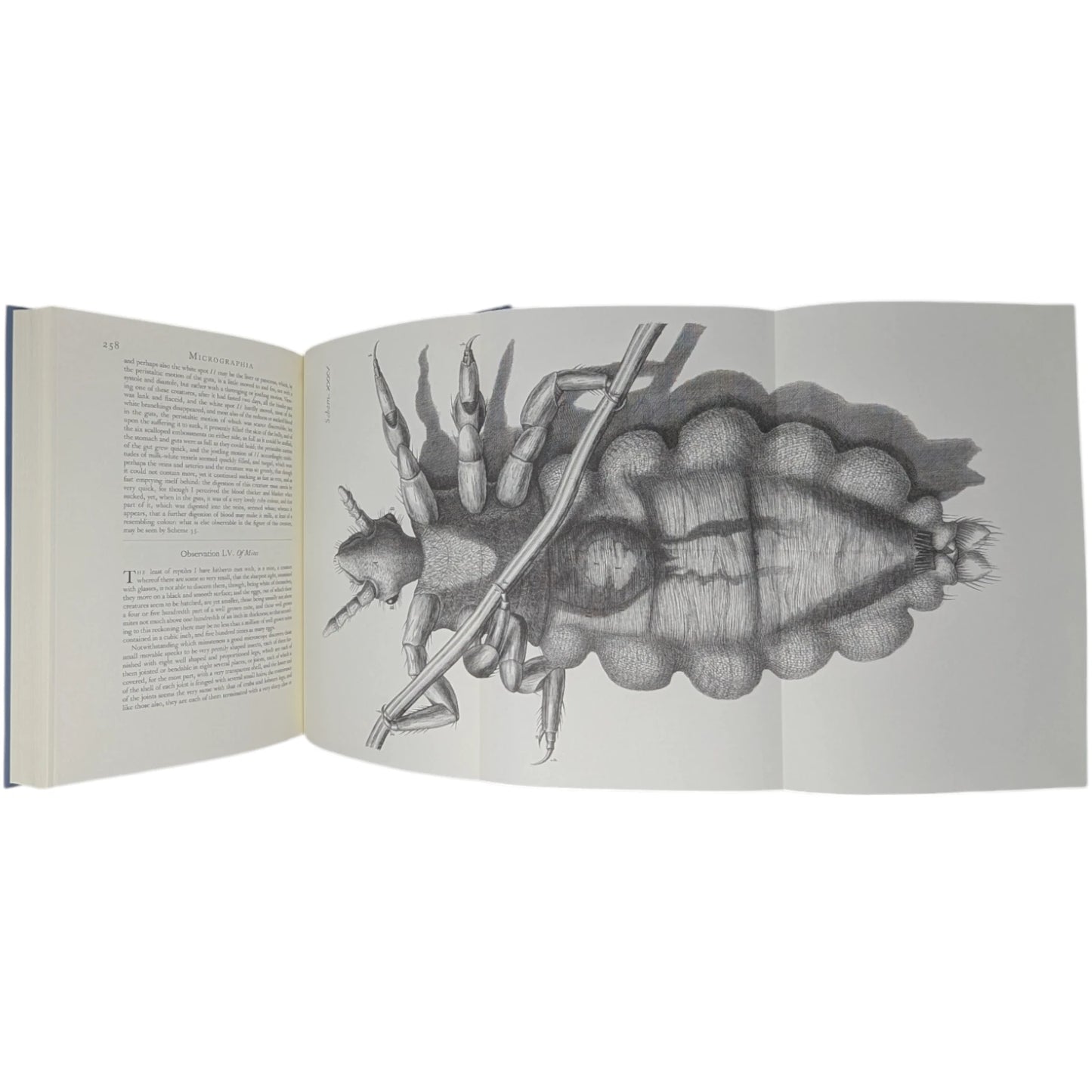 Micrographia (Standard Edition)