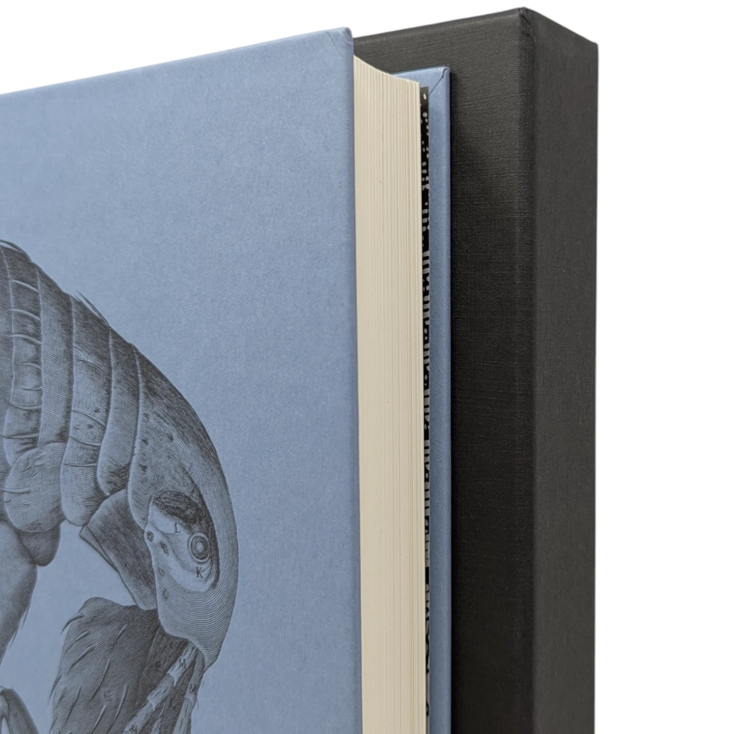 Micrographia (Standard Edition)