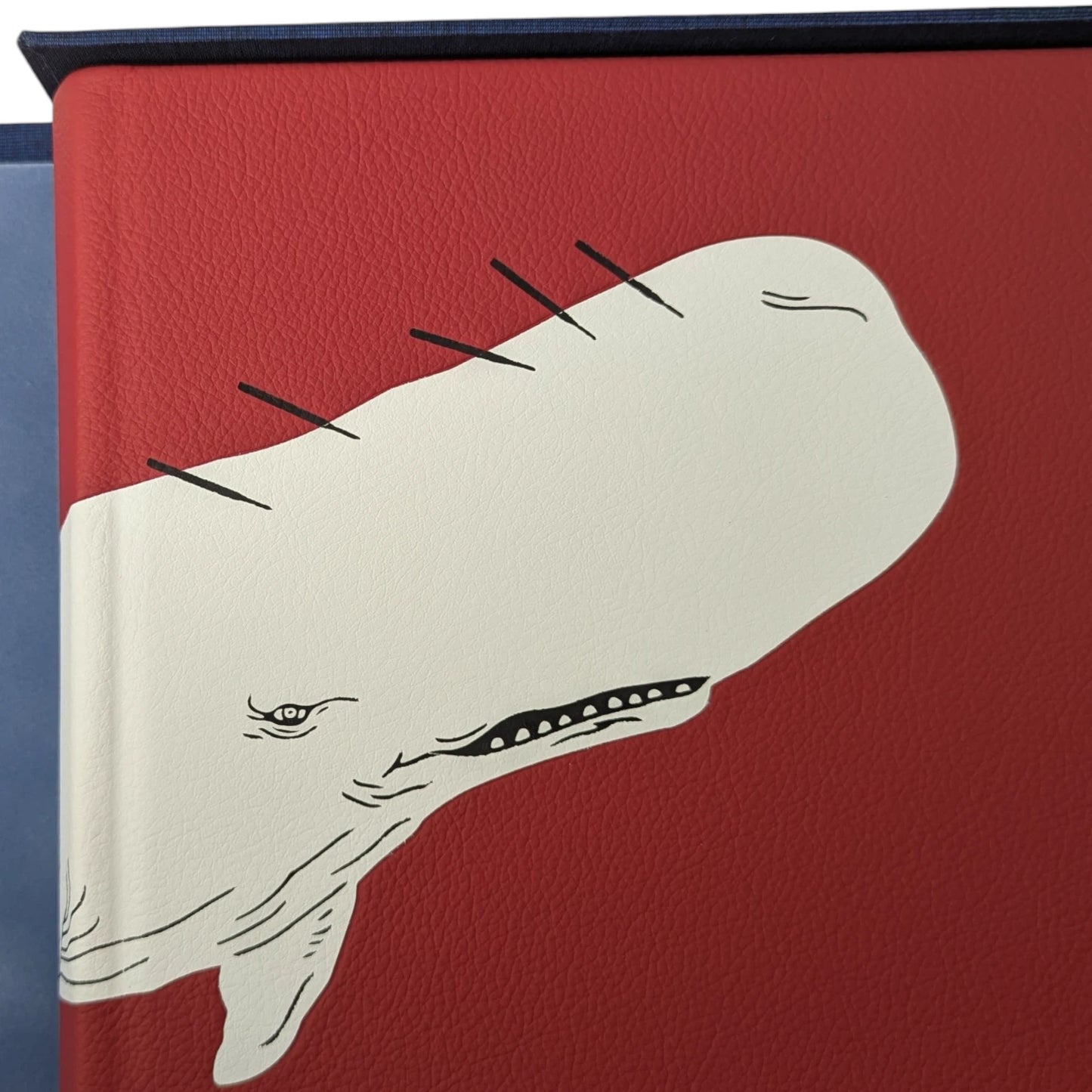 Moby-Dick or The Whale (Limited Edition)