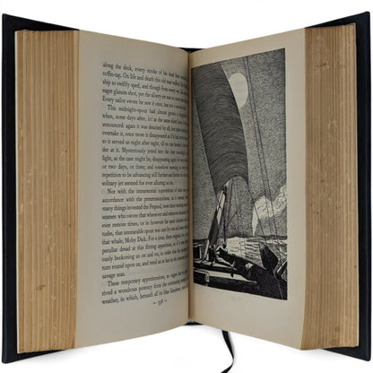 Moby Dick or The Whale
