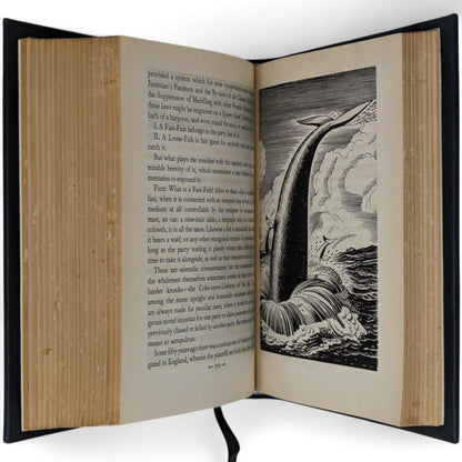 Moby Dick or The Whale