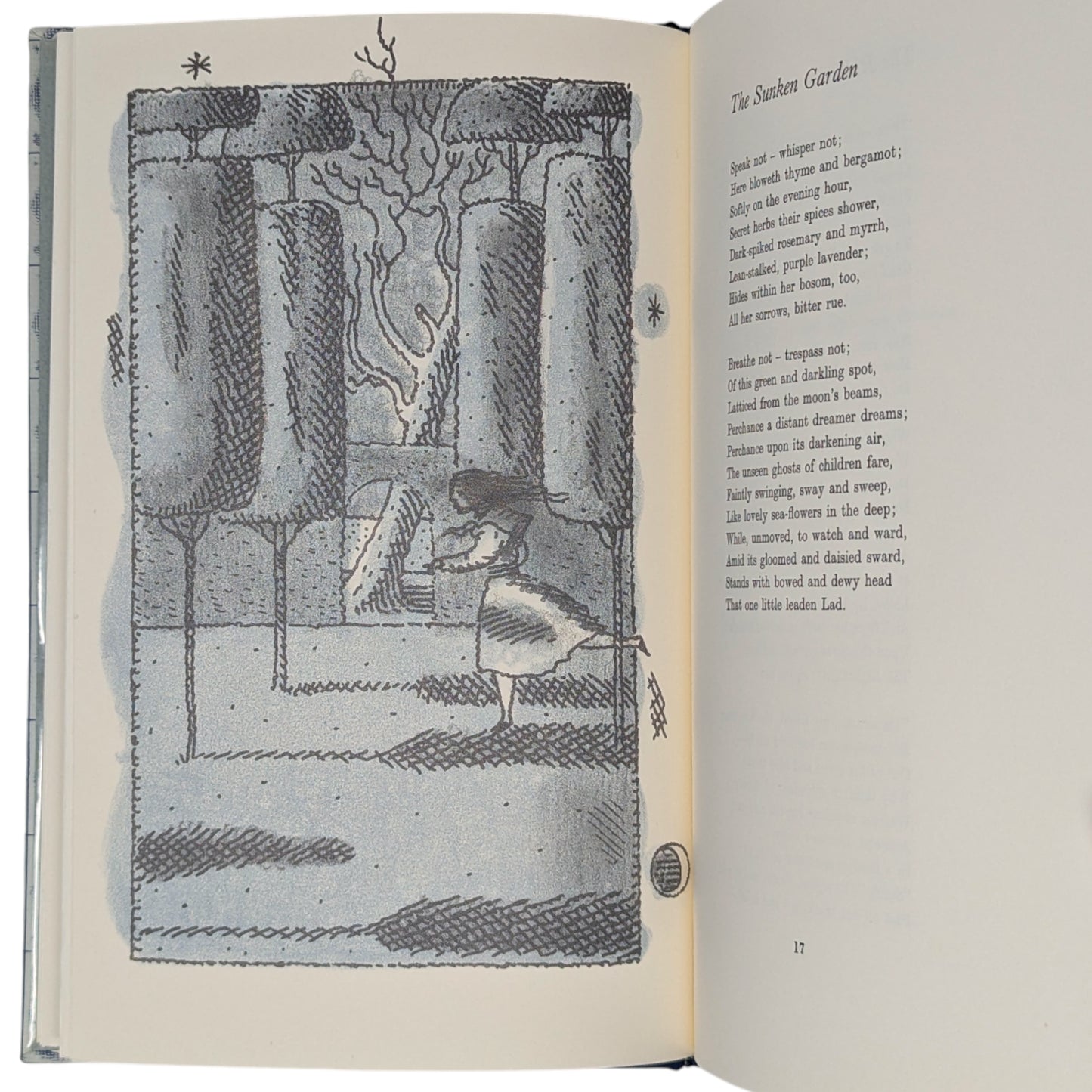 Motley and Other Poems