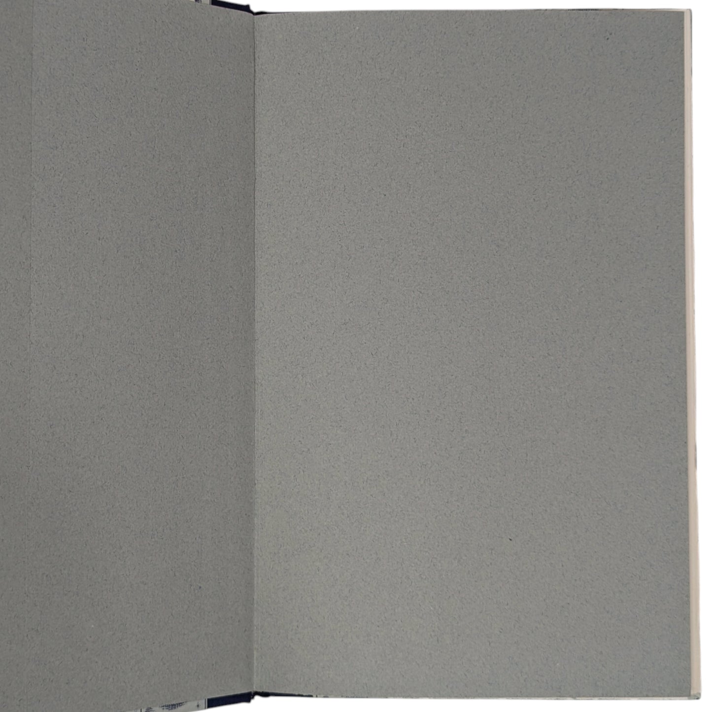 Motley and Other Poems