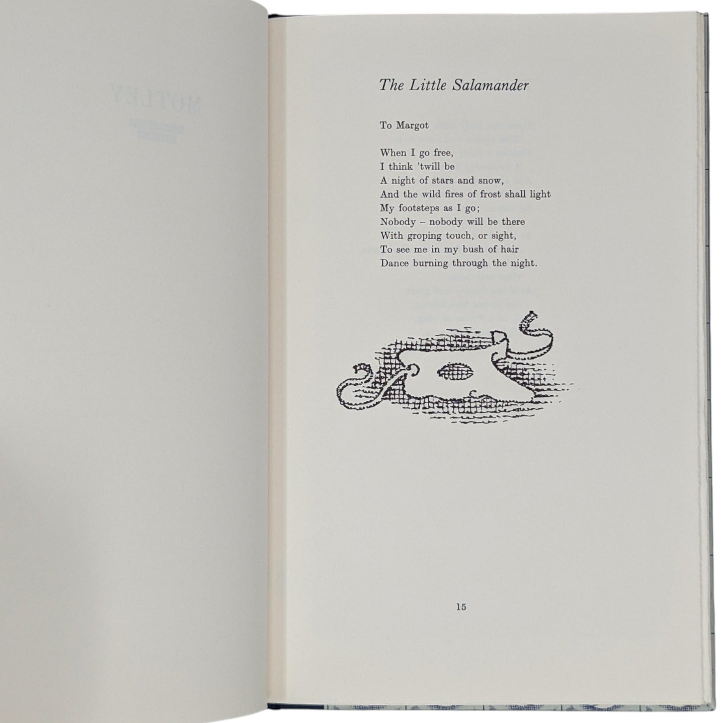 Motley and Other Poems