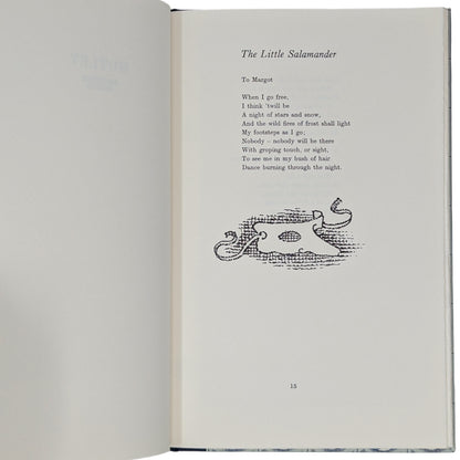 Motley and Other Poems