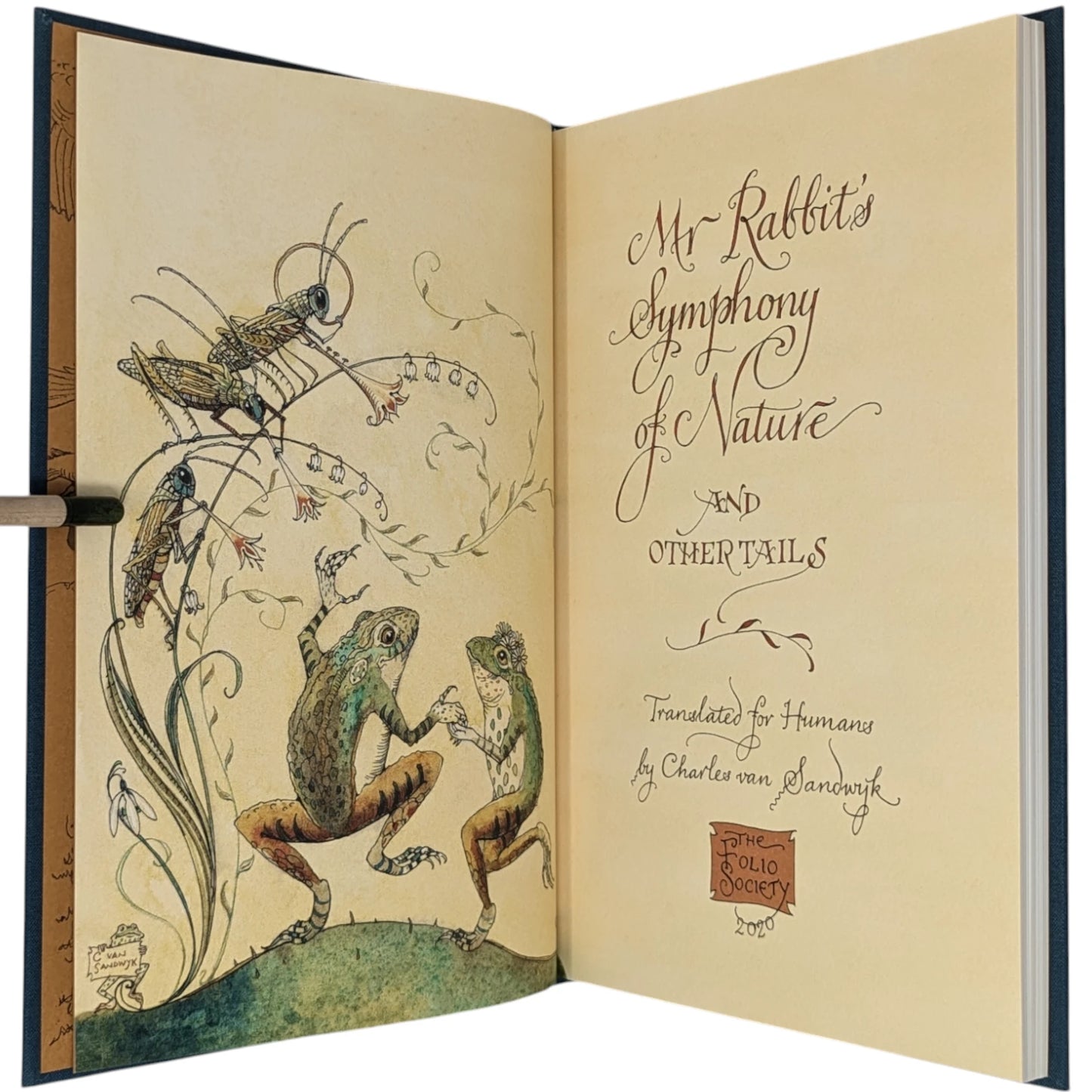 Mr Rabbit’s Symphony of Nature
