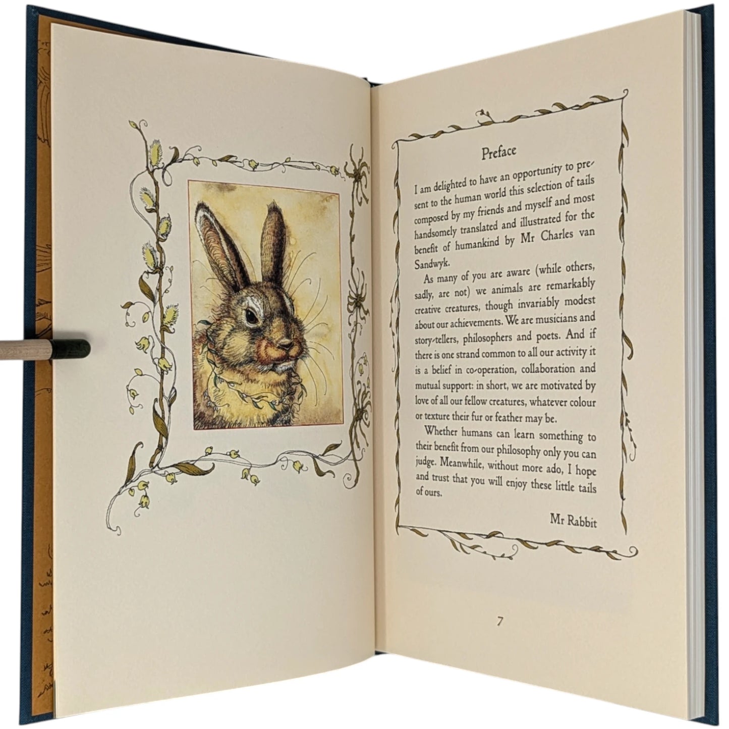 Mr Rabbit’s Symphony of Nature
