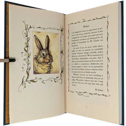 Mr Rabbit’s Symphony of Nature