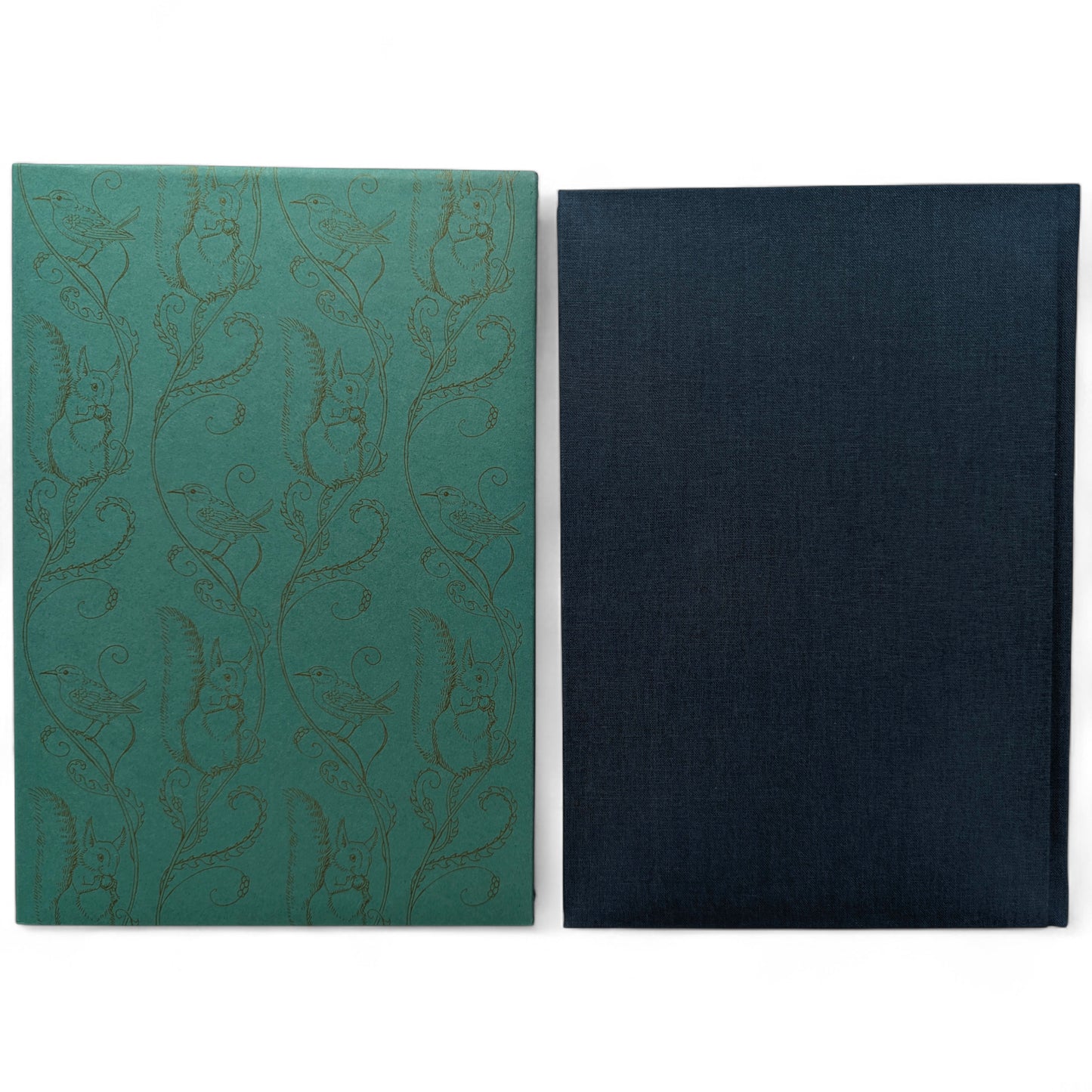 Mr Rabbit’s Symphony of Nature