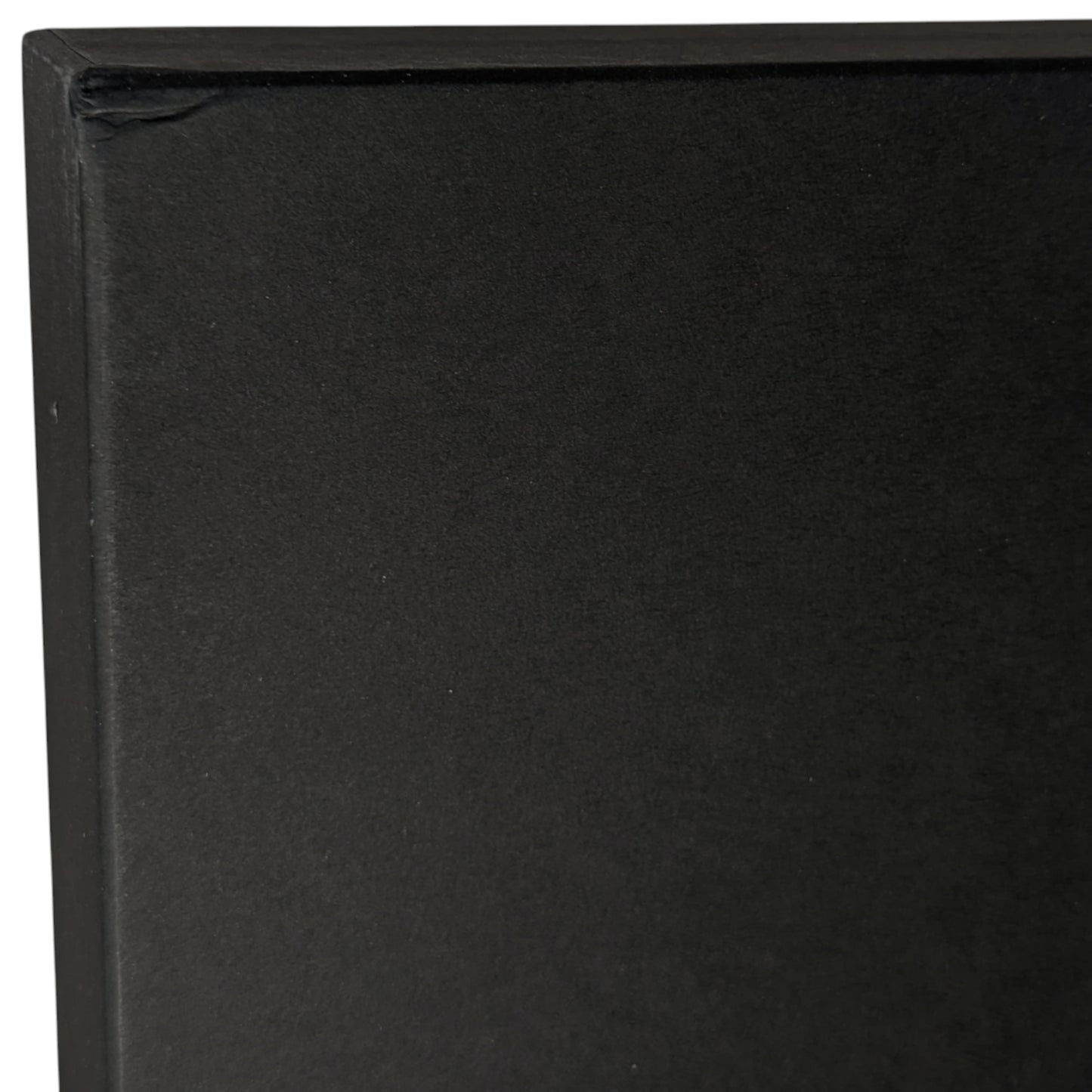 Parallel Worlds: The Science of Alternative Universes and Our Future in the Cosmos