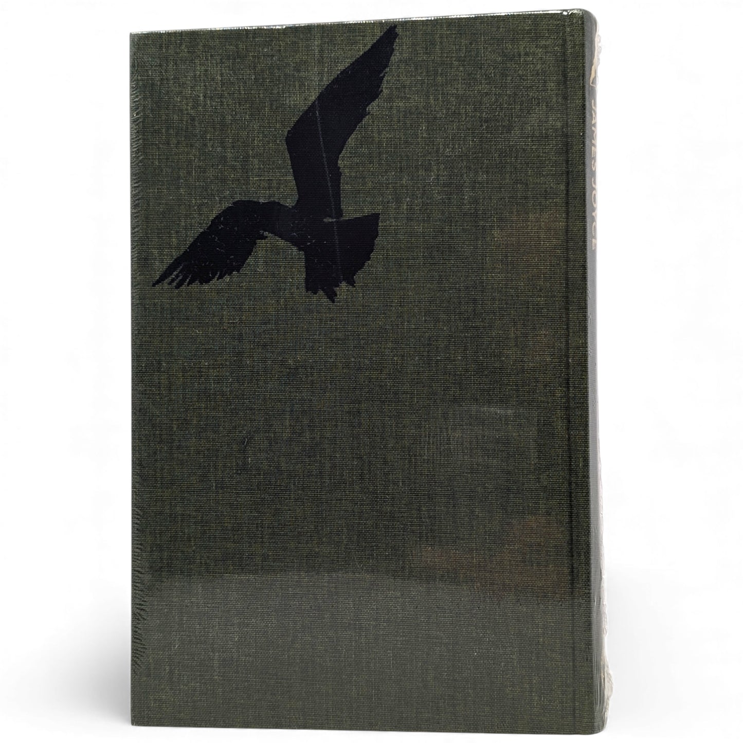 A Portrait of the Artist as a Young Man